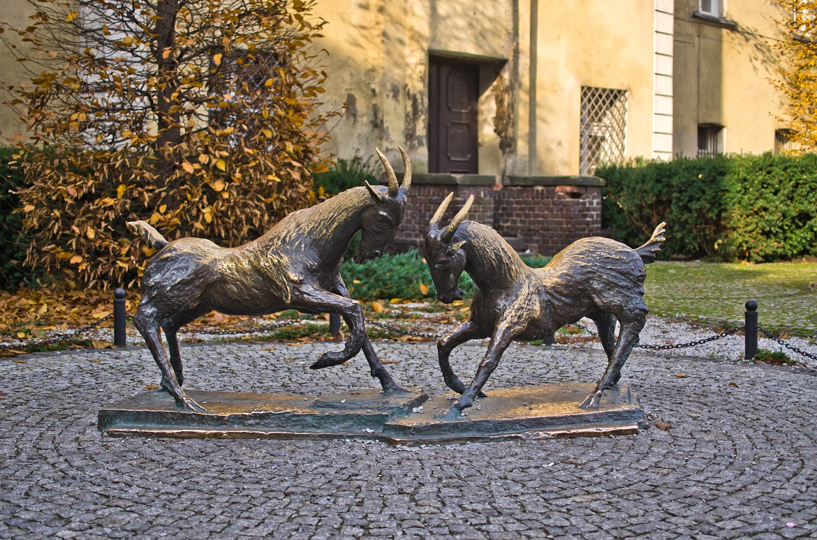Chèvres de Poznan