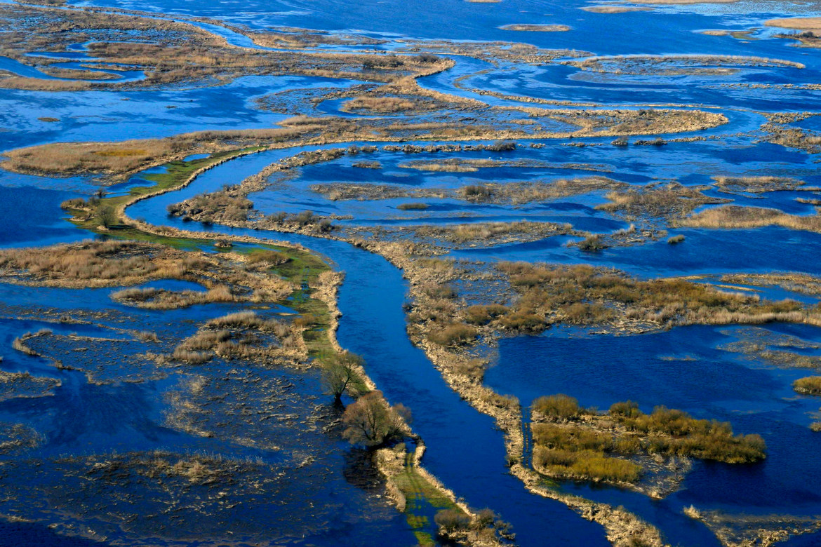 PARC NATIONAL DE LA BIEBRZA