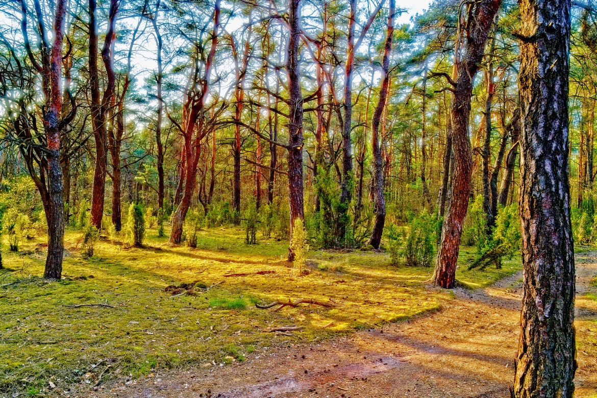 PARC NATIONAL DE KAMPINOS