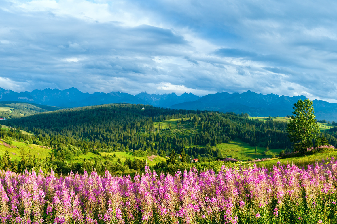 PARC NATIONAL DES TATRAS