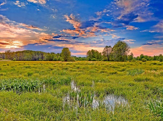 Parc national de Kampinos 