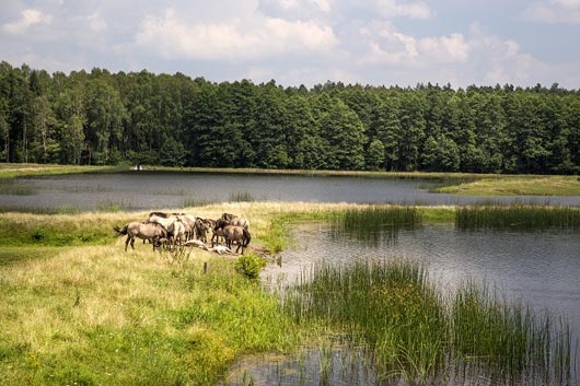 Parc national du Roztocze