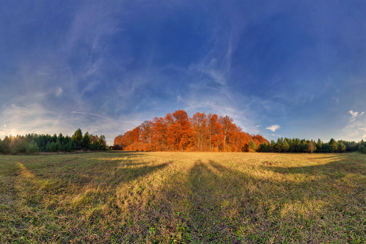 Paysage de Roztocze