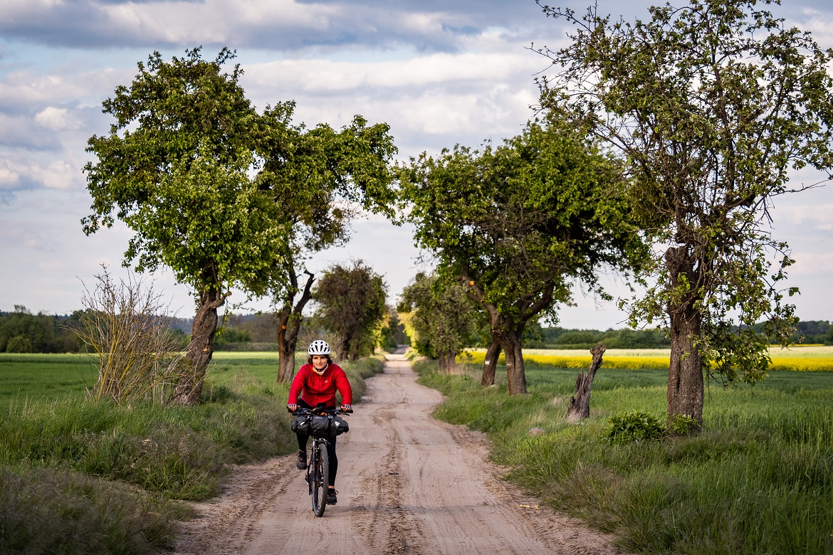 Wielkopolska à vélo