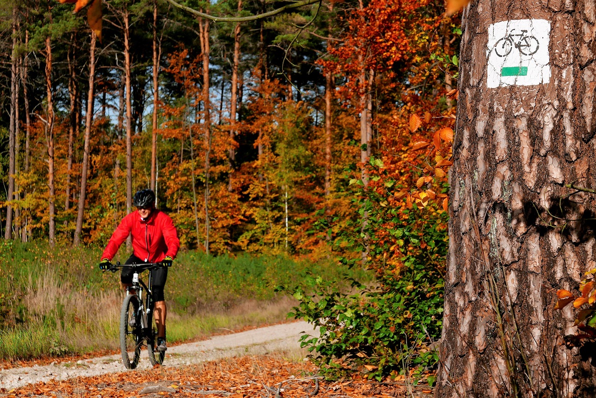 Wielkopolska à vélo