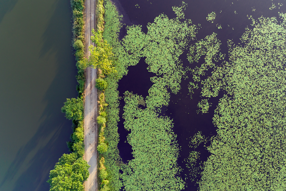 Vistula Bicycle Route (Wiślana Trasa Rowerowa) 3.jpg