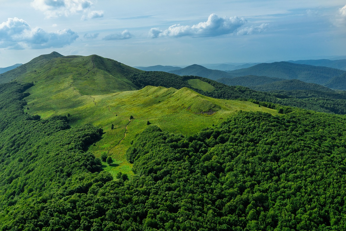Vue sur les montagnes Bieszczady