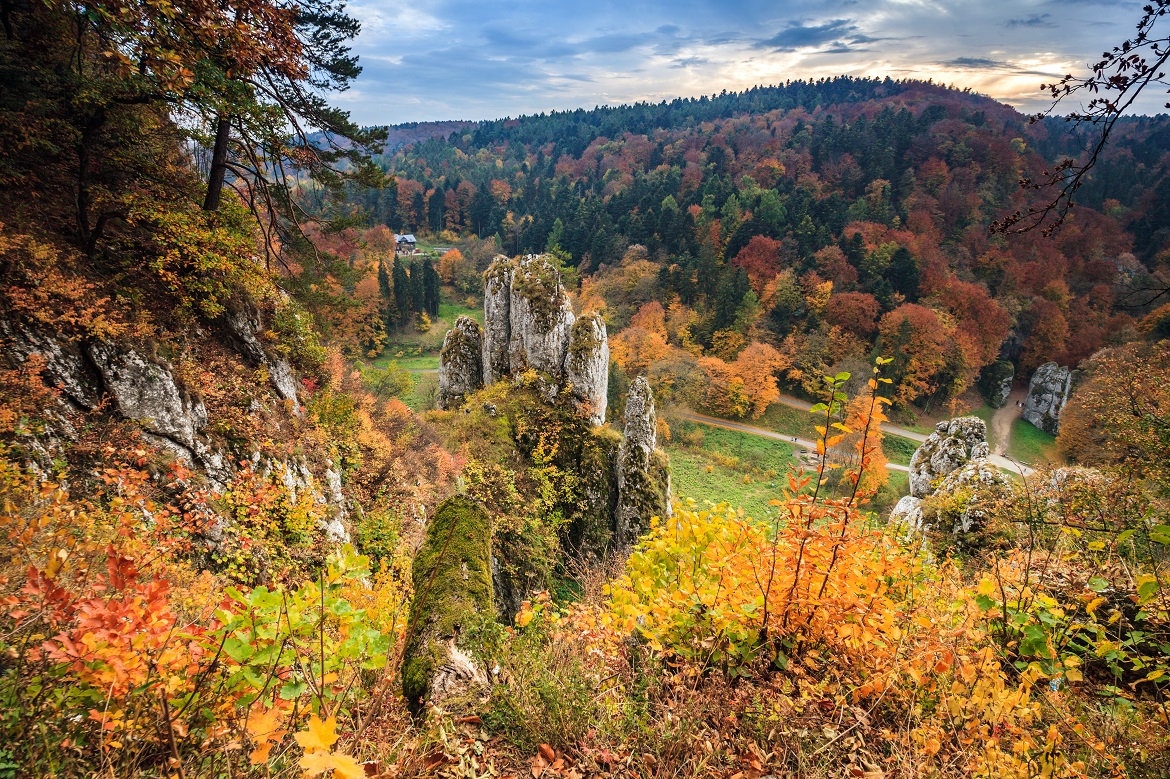 Route dans le parc national d'Ojcowski - Organisation du tourisme de Malopolska