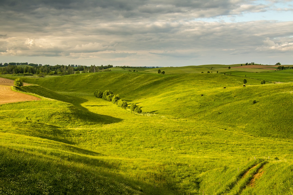 Parc paysager de Suwalski - podlaskie.travel