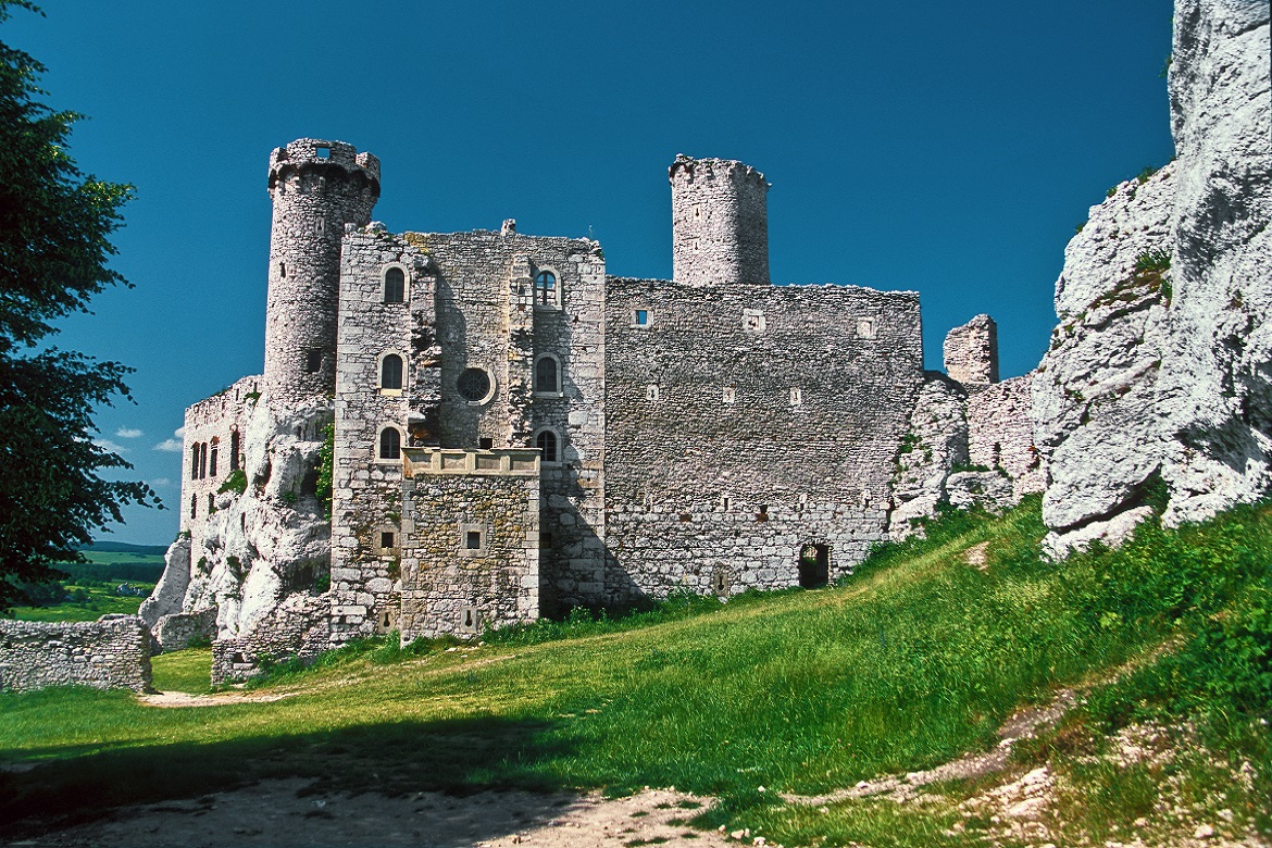 Ruines du château Ogrodzieniec