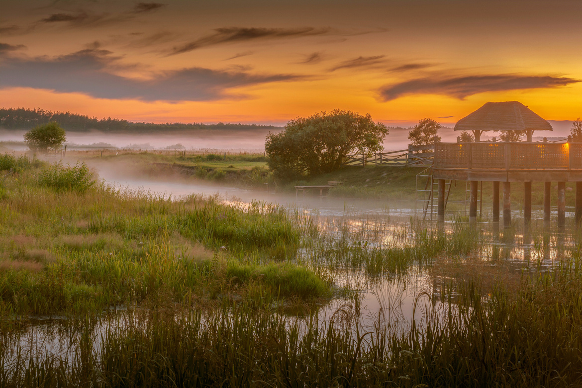 Parc national de la Narew