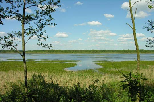 Parc national de Polésie