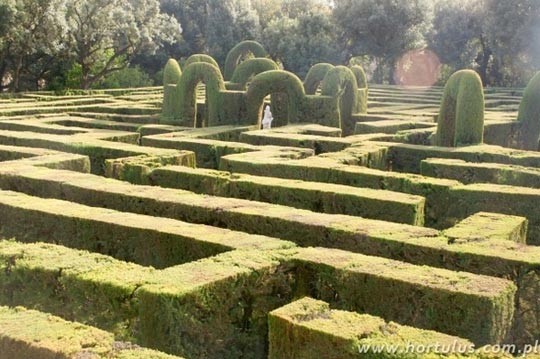 Le plus grand labyrinthe végétal du monde !