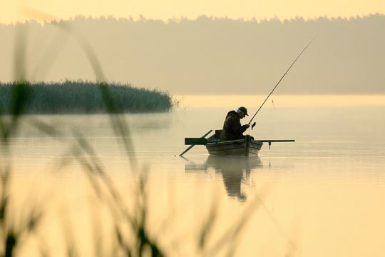 Les Grands Lacs – le calme au bord du lac en pleine forêt
