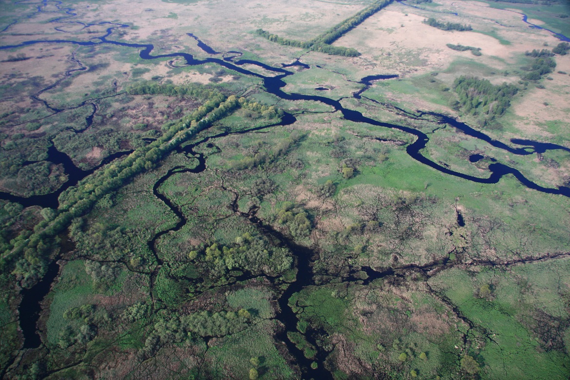 Parc national de la Narew