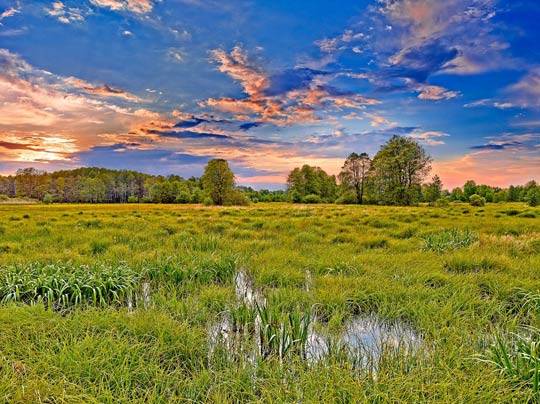 Parc national de Kampinos