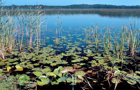 Parc national du Roztocze