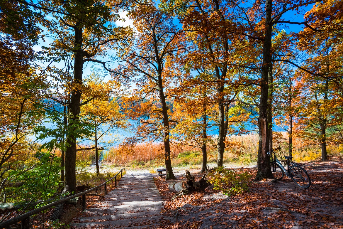 Parc national de Grande Pologne