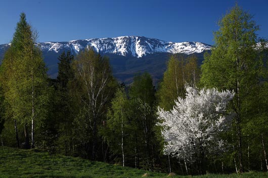 Parc national du Babia Gora 