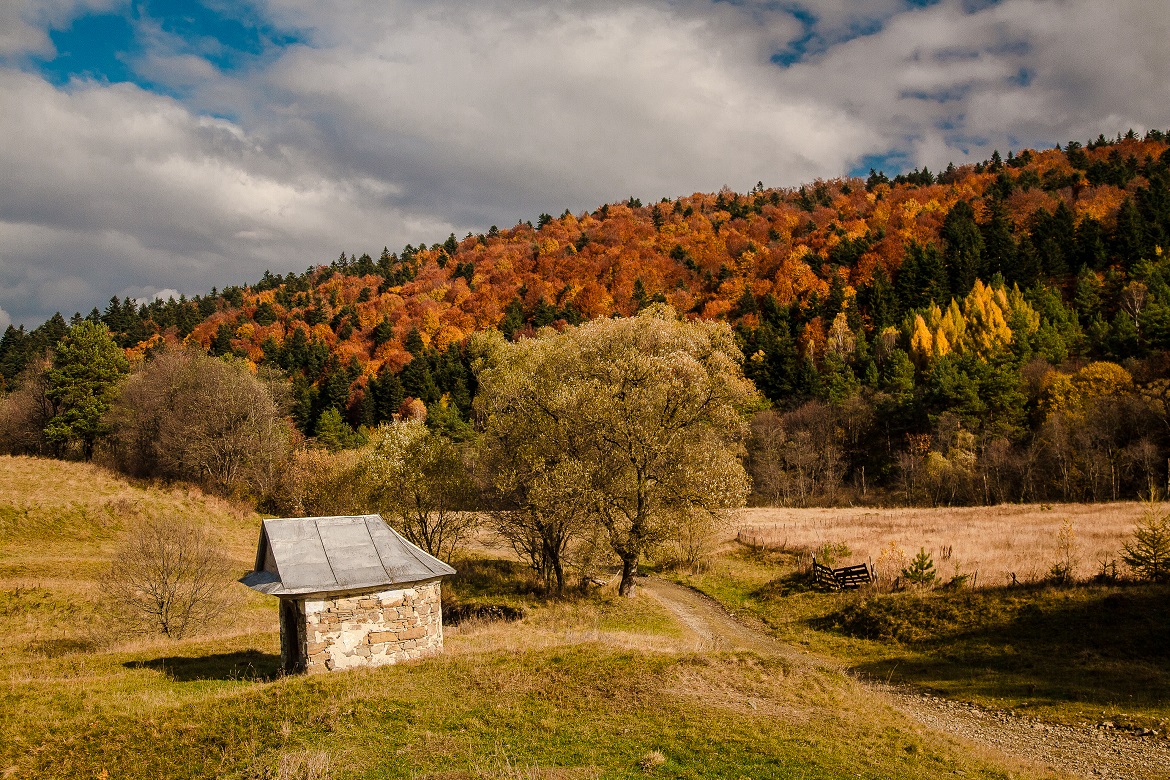 Parc national du mont Magura