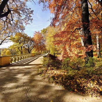 Parc Mużakowski