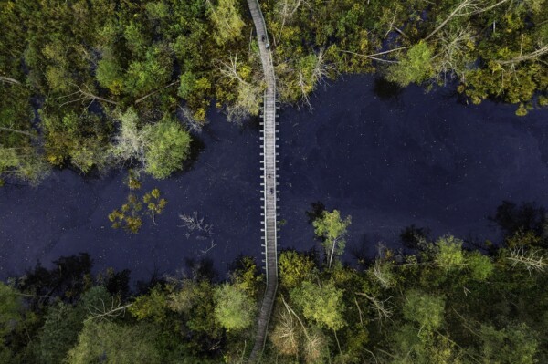 Parc paysager de Mazovie