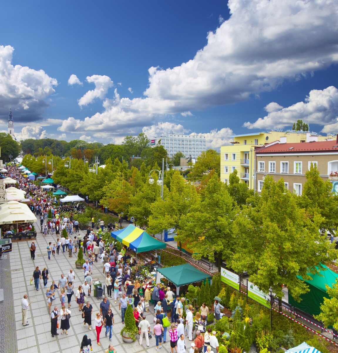 Avenue de la Très Sainte Vierge Marie