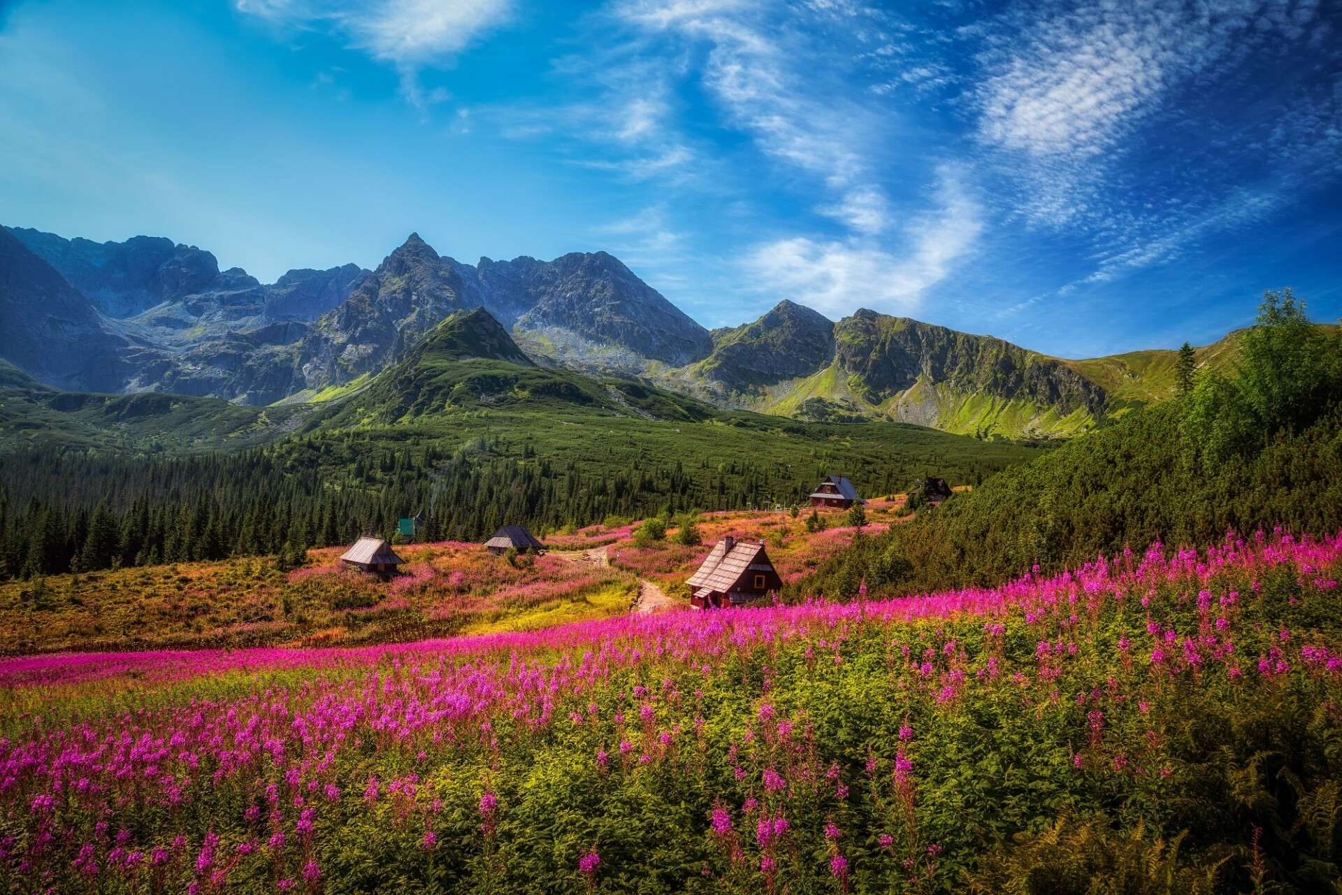 Parc national des Tatras